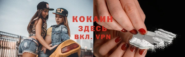 ГАЛЛЮЦИНОГЕННЫЕ ГРИБЫ Лагань
