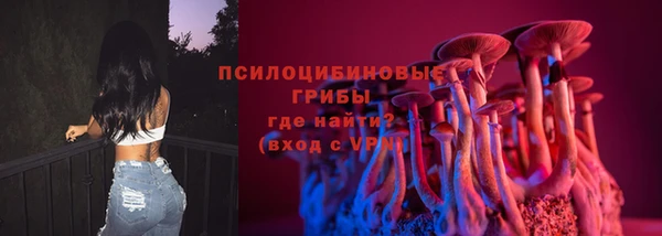 ALPHA PVP Лабытнанги