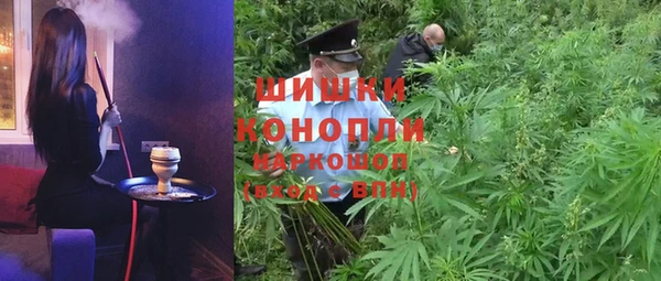 ГАЛЛЮЦИНОГЕННЫЕ ГРИБЫ Лагань